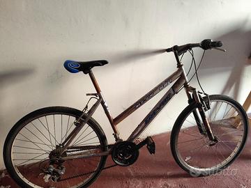 bicicletta