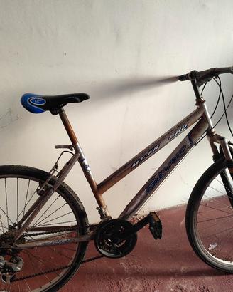 bicicletta