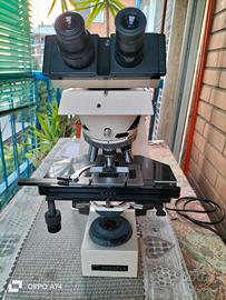 microscopio Zeiss axiophot 