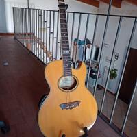 Chitarra acustica Washburn Millennium Lim. Edition