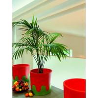 Vaso Fioriera Senior Teracrea