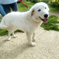 Zampaluna cucciolona dolcissima?