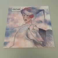Lucio Corsi , Volevo essere un duro ,lp in vinile