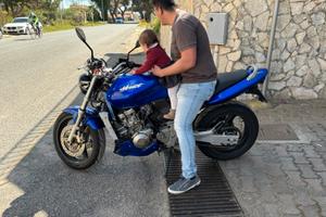 honda Hornet 600