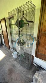 Gabbia per conigli