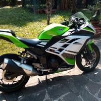 Kawasaki Ninja 300 - 2015