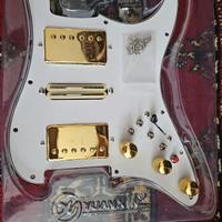 Pickguard chitarra Fender Stratocaster