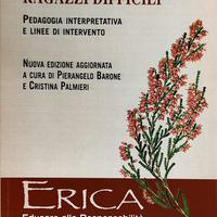 Ragazzi difficili - Bertolini, Caronia