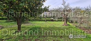 Terreno 1300 mq in parte edificabile Piedimonte