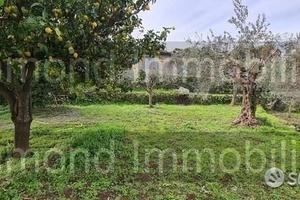 Terreno 1300 mq in parte edificabile Piedimonte