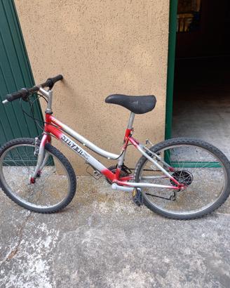 Bicicletta Silver Star 
