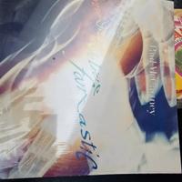 album vinili