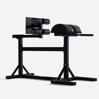 Panca GHD glute ham development hyperextension