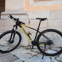 mountain bike