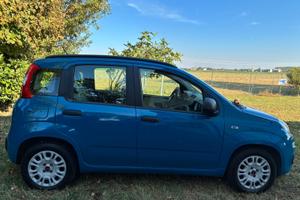 Panda 1.3 diesel mjt 16v Young 75cv