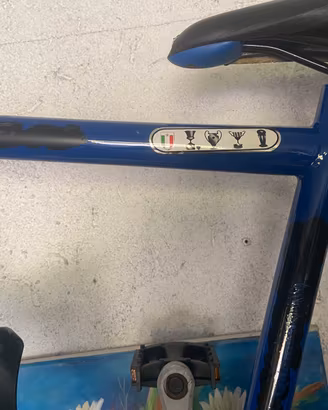 Bicicletta