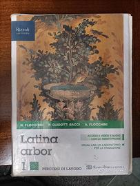Latina arbor 1