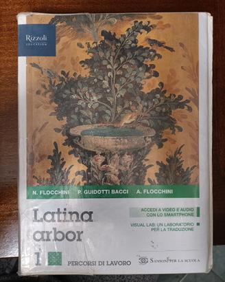 Latina arbor 1