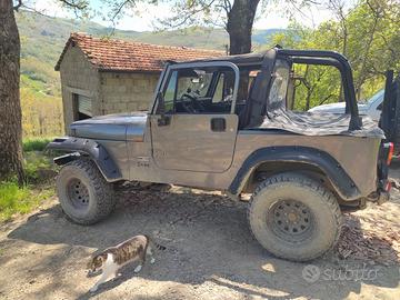 Bestop Bikini, Windstopper, Copricassone Jeep YJ 
