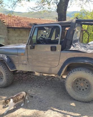 Bestop Bikini, Windstopper, Copricassone Jeep YJ 