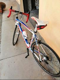 Bicicletta Olmo L 