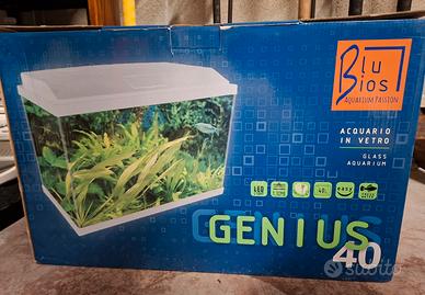 acquario genius 40 per pesci con filtro mangime 
