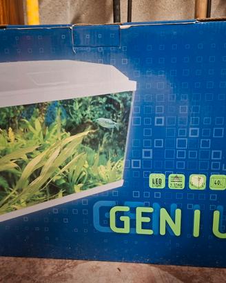 acquario genius 40 per pesci con filtro mangime 