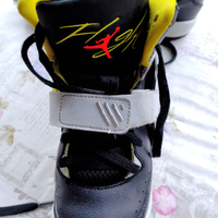 Nike air Jordan Flight