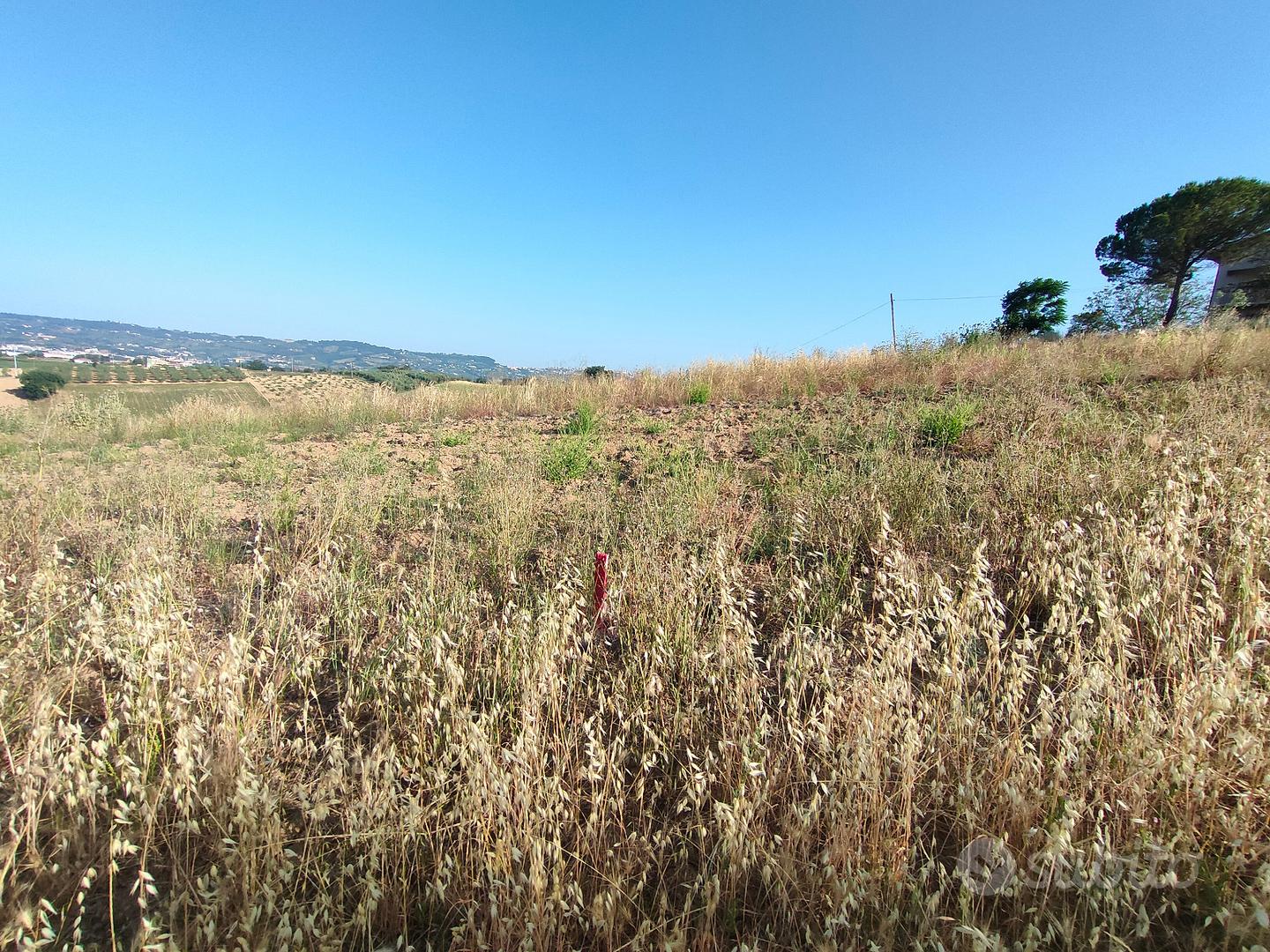 Terreno di circa 8 ettari agricoli irrigui - Vista 2