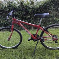 Mountain Bike 24 pollici
