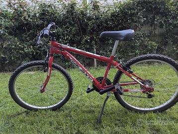 Mountain Bike 24 pollici