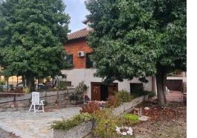 CC 2006/2024 Trib Pavia - LOTTO 2