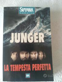 La Tempesta Perfetta 