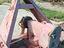 Immagine 5