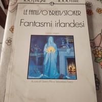 Tascabili  Economici  Newton . Fantasmi Irlandesi.