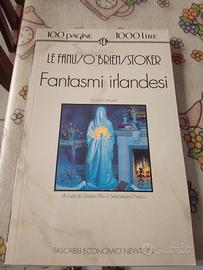 Tascabili  Economici  Newton . Fantasmi Irlandesi.