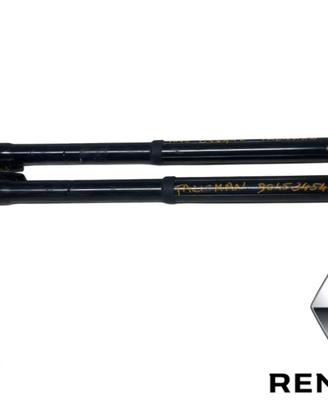 COPPIA PISTONCINI ELETTRICI PORTELLONE RENAULT Tal