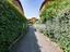 Immagine 17
