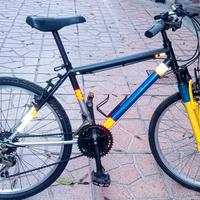 Mountain bike 24 cambio Shimano 3x6
