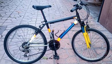 Mountain bike 24 cambio Shimano 3x6