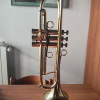 Adams A4LT Tromba Sib 0,45mm L brass satin gold