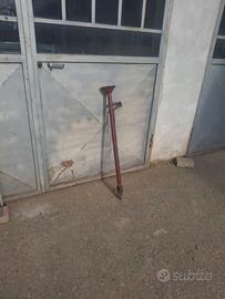 Canna pianta fagioli ecc.