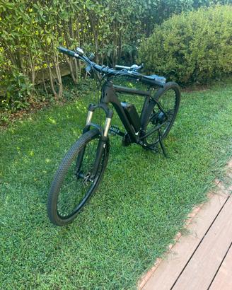 Bici elettrica