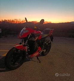  Malaguti Drakon nkd allestimento ducati corse
