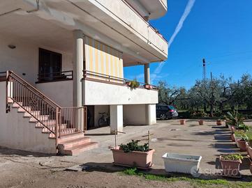 5 LOCALI A CERIGNOLA