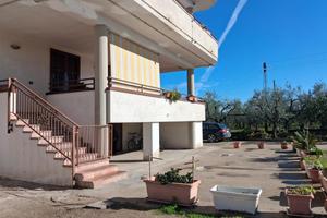 5 LOCALI A CERIGNOLA