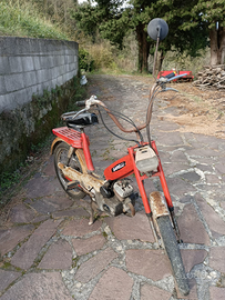 Ciclomotore