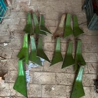 Raschiaterra viviani mpt