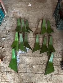 Raschiaterra viviani mpt