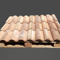 Tegole coppo di  Francia